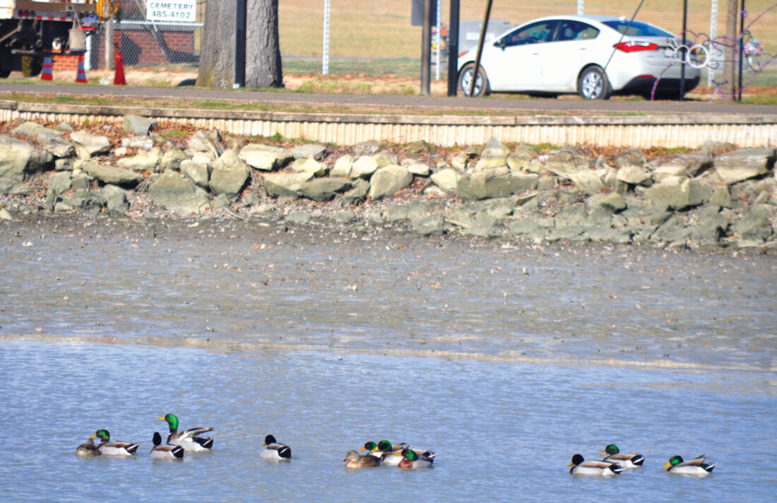 Picture This: Wading for the Work to Be Finished